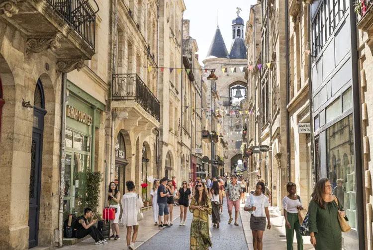 Punaises de lit à Bordeaux : alerte sur la hausse des infestations en 2026 dans les logements étudiants et immeubles collectifs