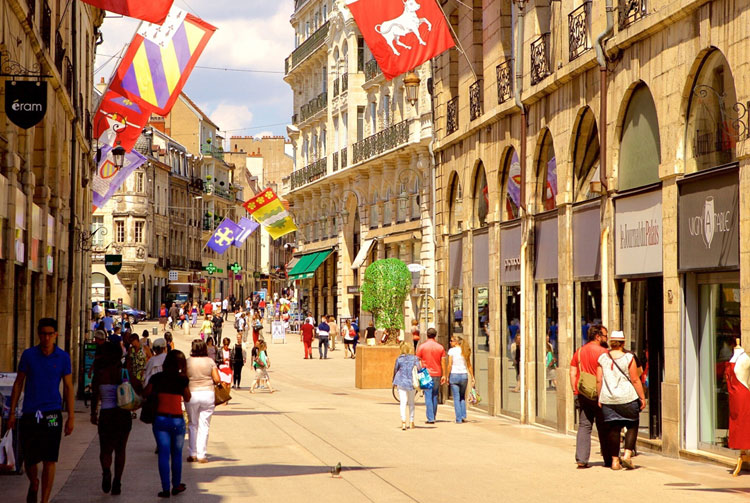 Punaises de lit à Dijon et Avignon : alerte 2026 sur l'hôtellerie et les locations de vacances
