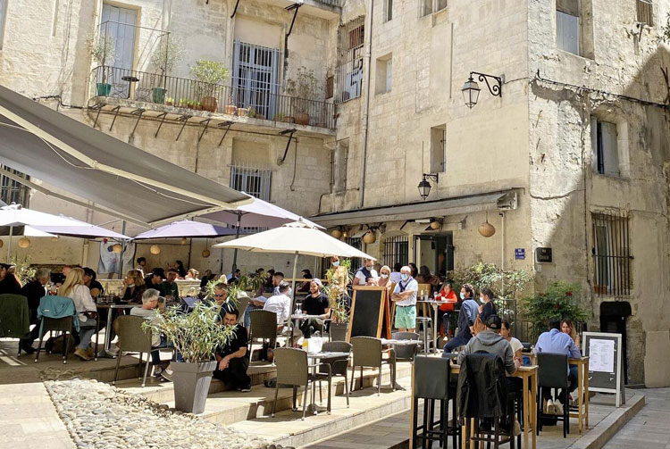 Punaises de lit à Montpellier : les zones les plus touchées et les bons réflexes
