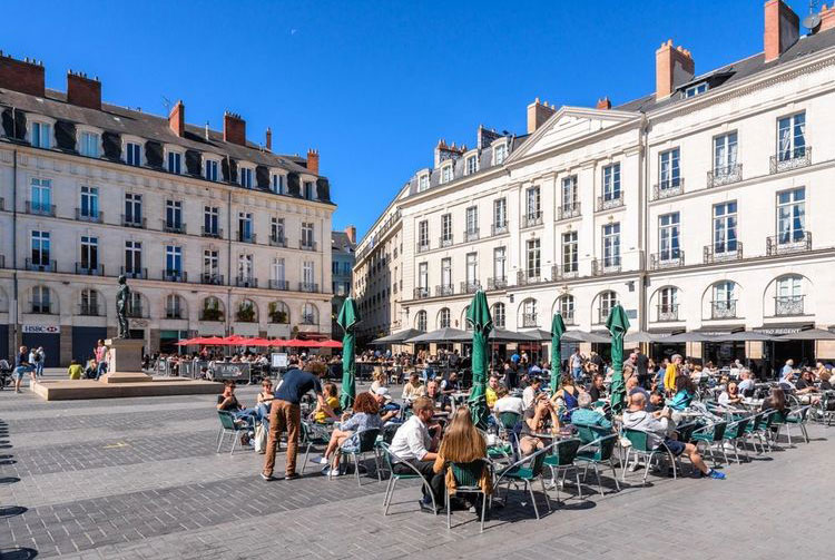 Punaises de lit à Nantes et Rennes : pourquoi les signalements explosent en 2026