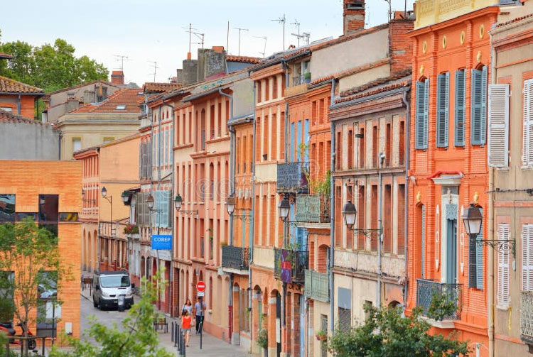 Punaises de lit à Toulouse : alerte sur la hausse des signalements en 2026 — ce qu’il faut savoir avant de louer ou d’acheter